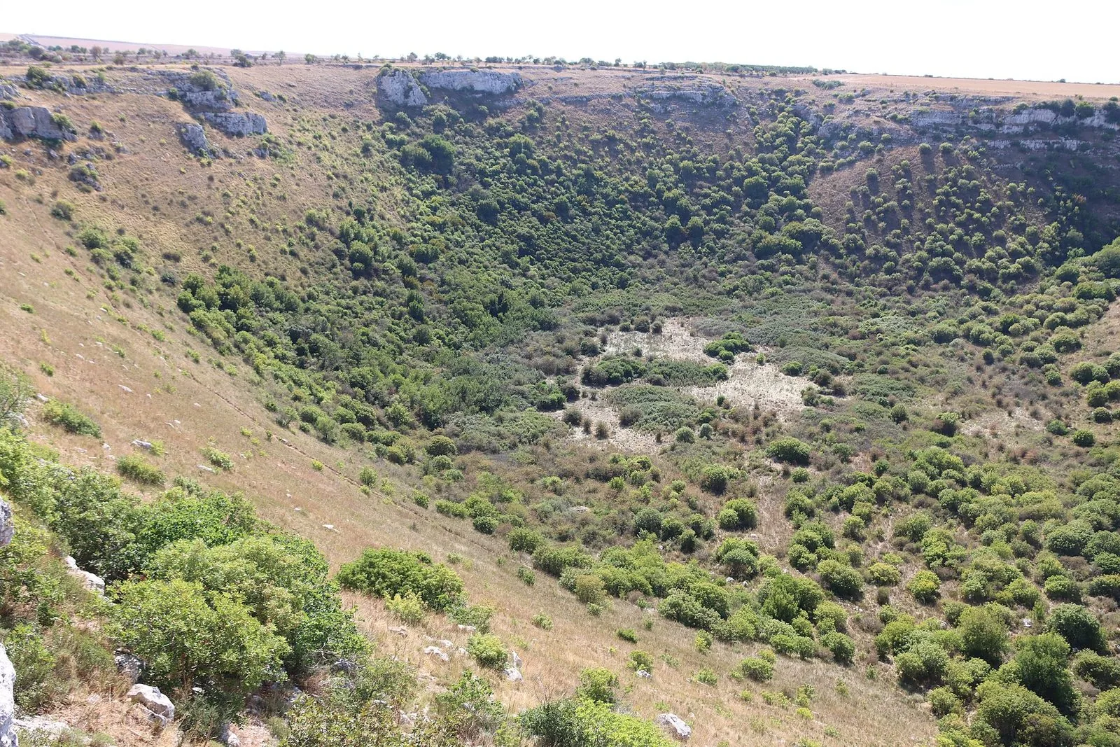 Il Pulo di Altamura visto dal bordo: una grande dolina carsica dalle pareti di roccia calcarea, ricoperta di arbusti e macchia
